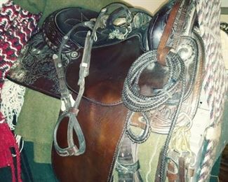 saddle & stand