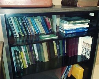 Books everywhere
