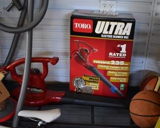 Toro leaf blower
