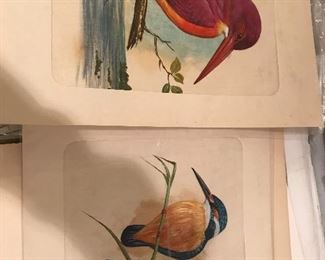 Bird paintings on silk