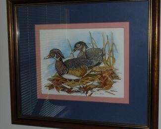 Matted & framed picture' wood ducks'
