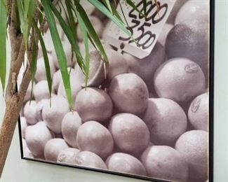 56in x 49in Art Picture