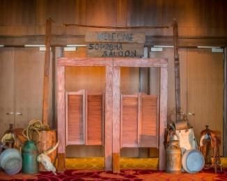 Saloon Doors with Finish Out