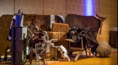 Western Decor
