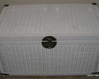 Trunk, large in size