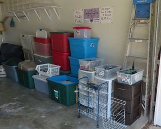 Home storage, Werner ladder