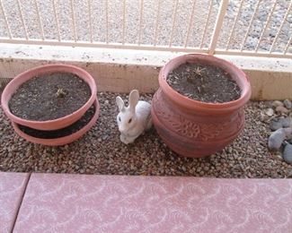 Planting Pots and a Bunny looking for a good home!