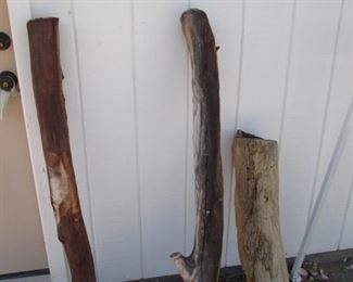 Wood Stumps
