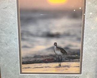 Seagull beach artwork