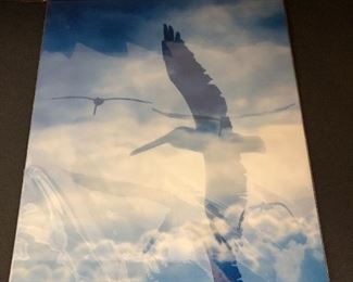 metal photograph art seagull