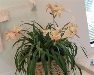 planter