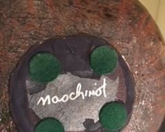 sought after Maschinot "raku" "tortoise" pottery