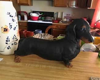 There is a whole collection of doxies here.