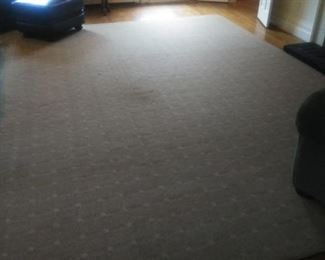 Room sized tan carpet