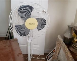 fan