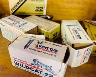 Wildcat .22 Ammo