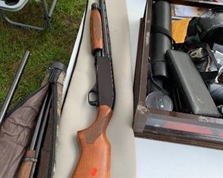 winchester guns