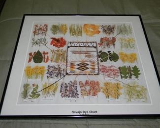 Navajo Die Chart Framed Picture