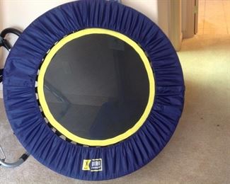 Urban Rebounder Exercise Trampoline.  It comes with the hand rails.