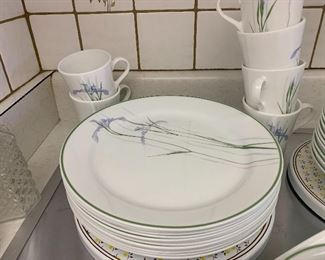 Setting of 12 Corelleware Iris pattern