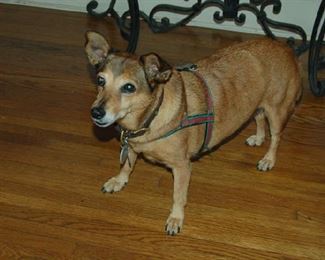 Bungie rules the roost!