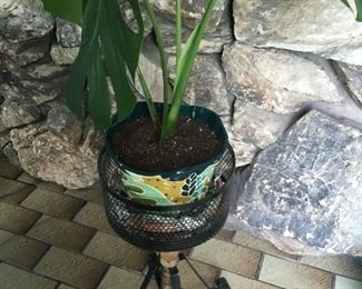 a beautiful live flower/plant stand