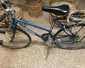 Schwinn Bicycle