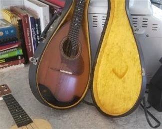 Mint condition 8 string Lute