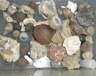 FOSSILS AND MINERALS