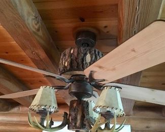 Ceiling light fixture & fan