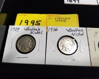 Buffalo Nickels