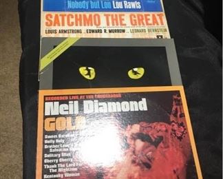 Vinyl Neil Diamond, John Denver, Cats, Satchmo the Great, Lou Rawls, Spyro Gyra