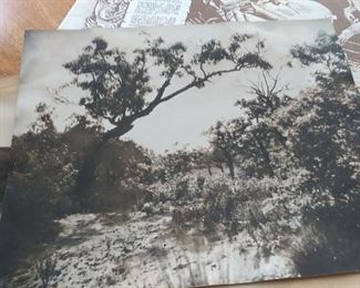 Black and white art print