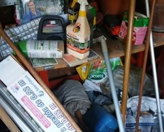 Garden shed with assortment of tools and garden equipment.