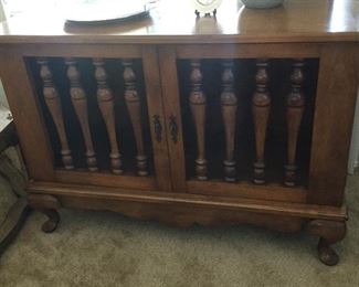Storage cabinet for many uses