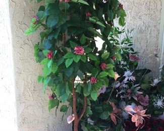 Lovely silk tree