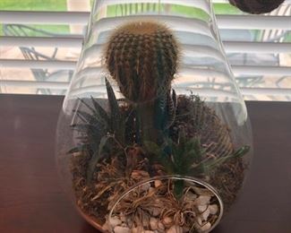 a hanging terrarium!