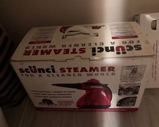 Scunci Steamer -- For a Cleaner World.  Really, if this is all it takes, let's buy one for everyone!