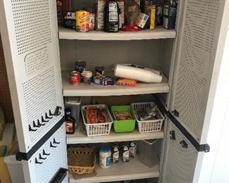 outdoor/garage tool cabinet