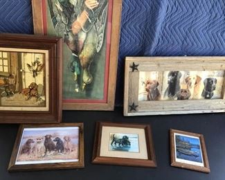 Bird Dogs