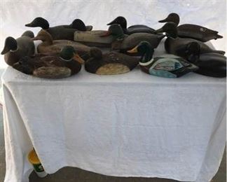 Birds of a Feather Float Together
