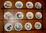 Just a few of many Plates collections