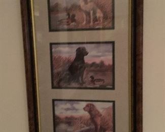 Hunting dog framed print
