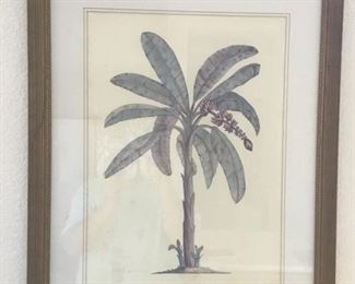 Framed palm print