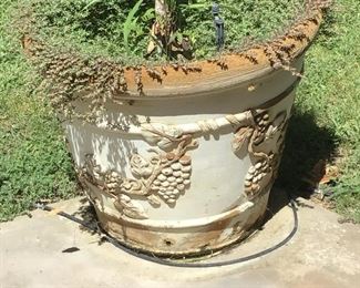 Outdoor Tuscan Pot with Plant