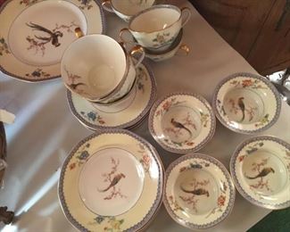 Haviland Limoges "Paradise" beautiful birds