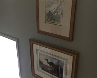 More Audubon style vintage prints