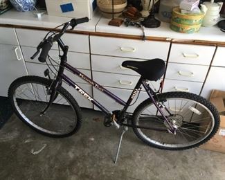 Trek Bike