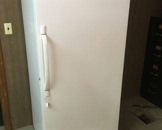 2801 Frigidaire Freezermin