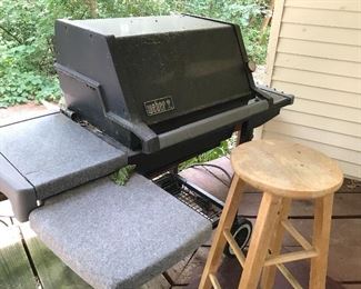 Weber Gas Grill